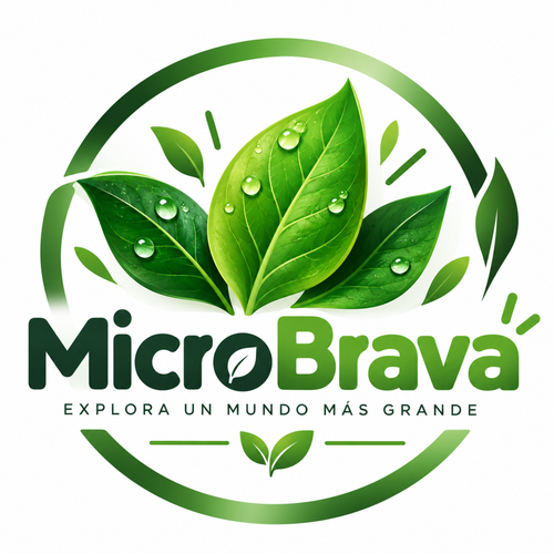 brava